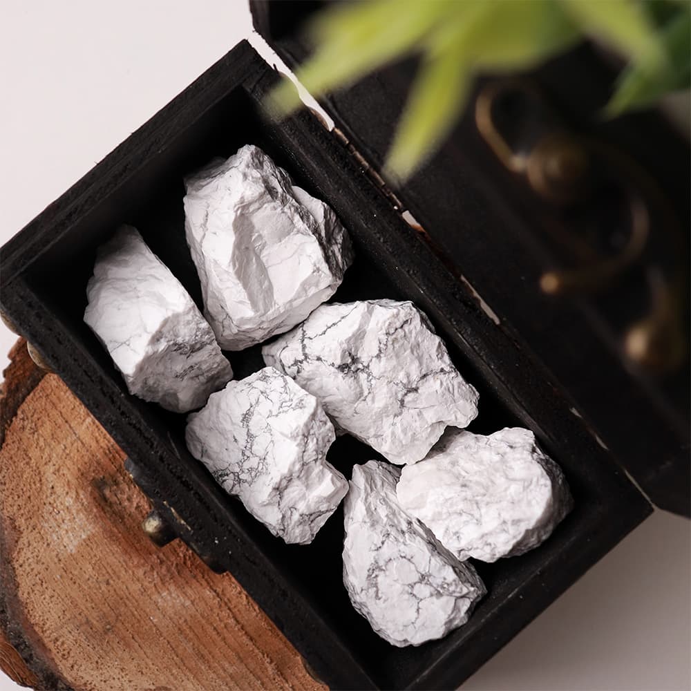 Howlite (Pack of 10)