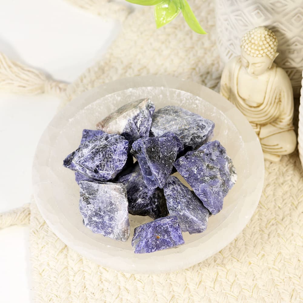 Sodalite (Pack of 10)