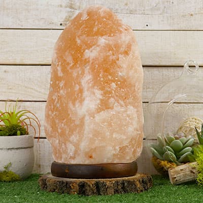 Large Himalayan Salt Lamp