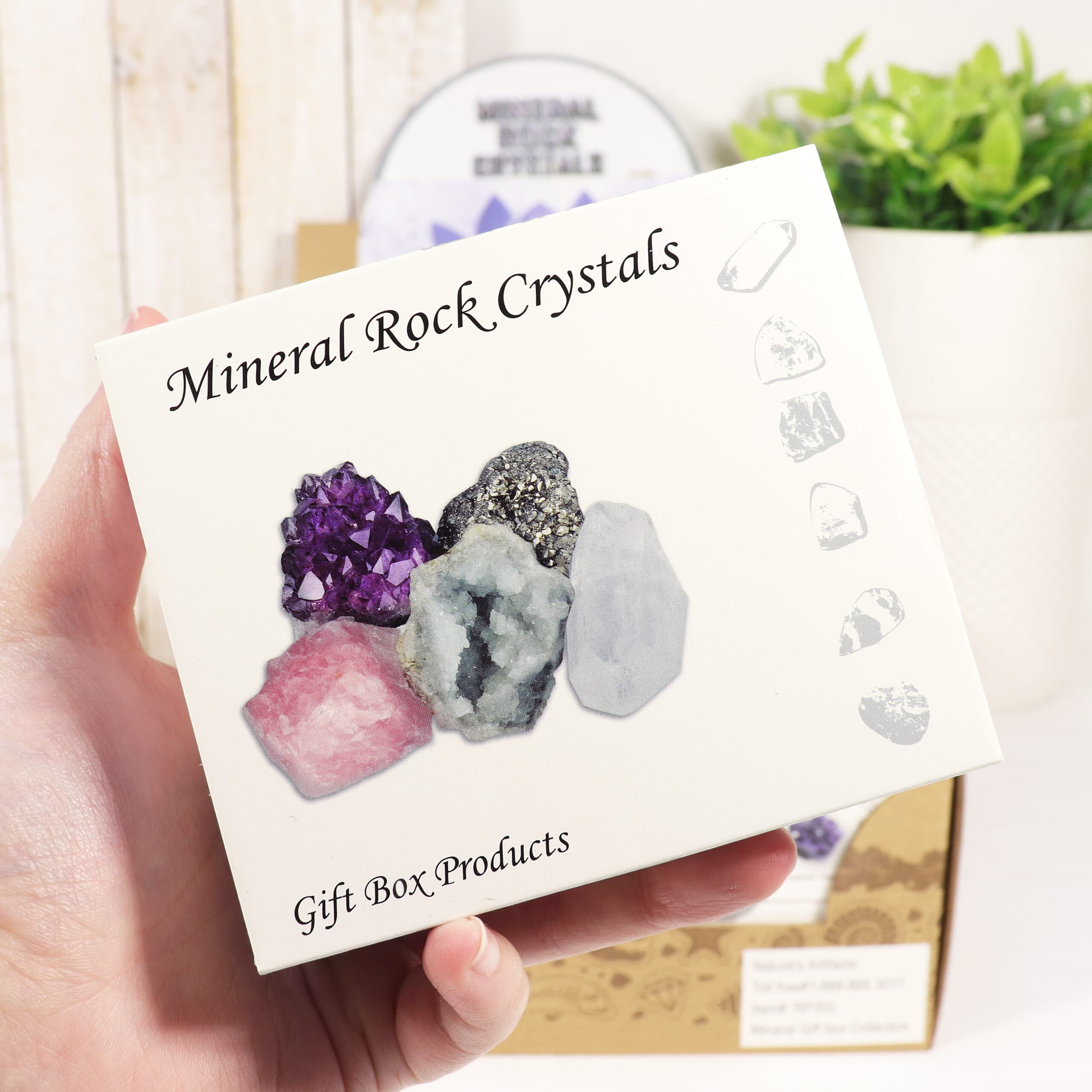 Mineral Rock Crystals in a Gift Box