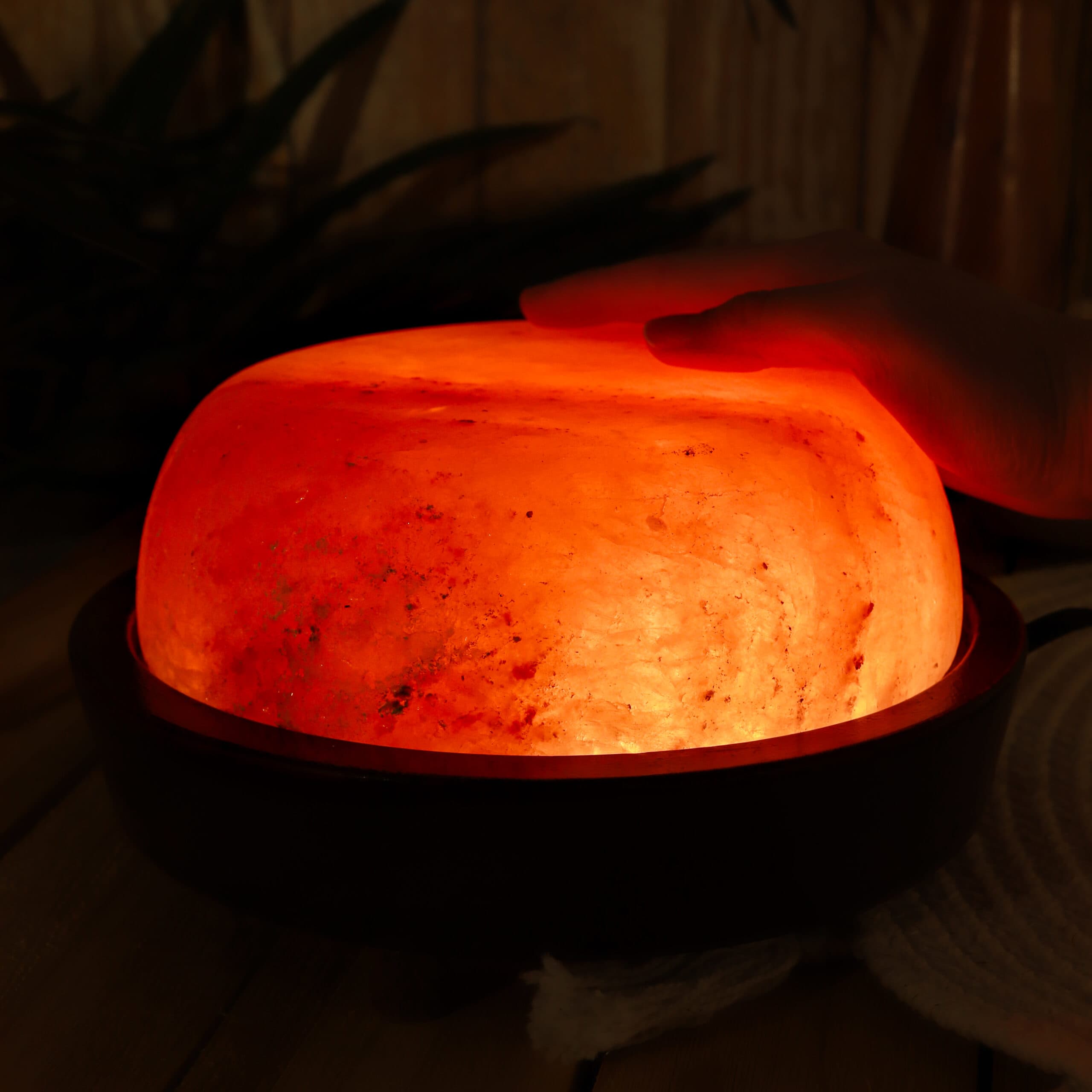 Himalayan Salt Detox Lamp