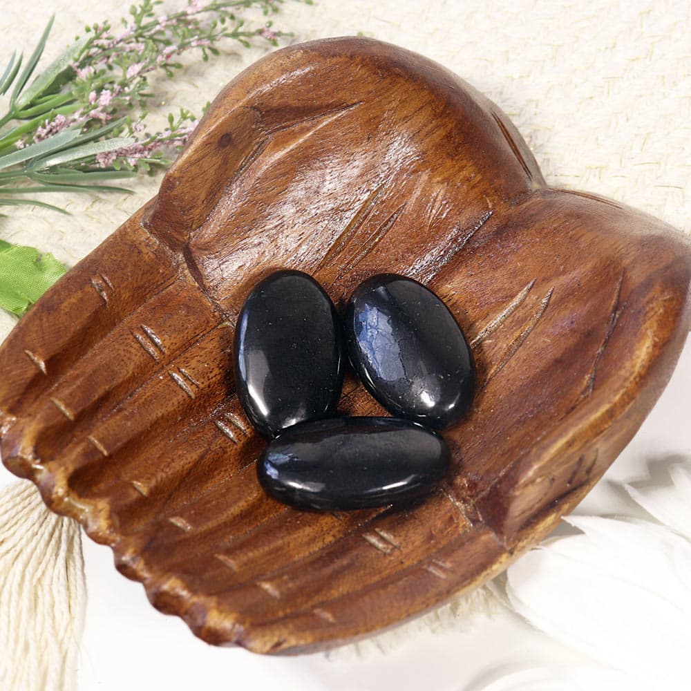 Shungite Stress Stone