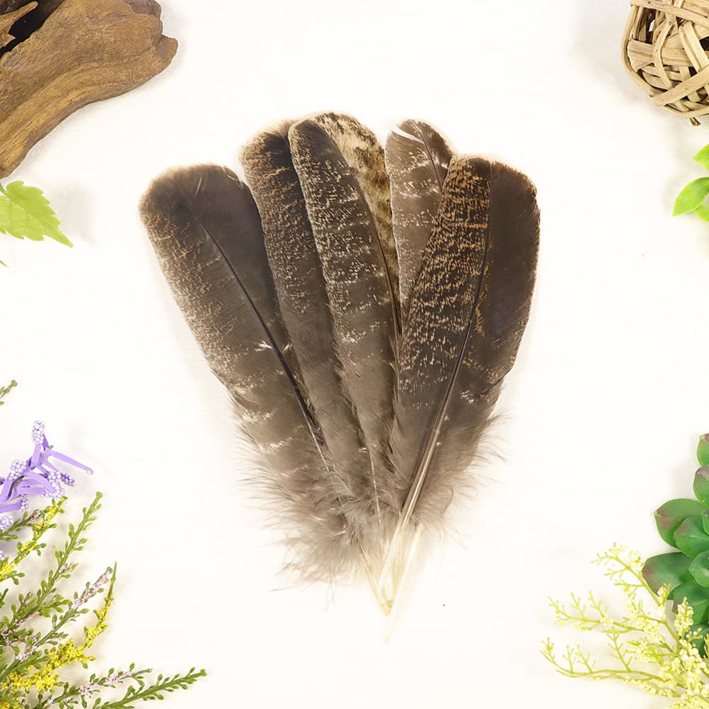 Smudging Feather
