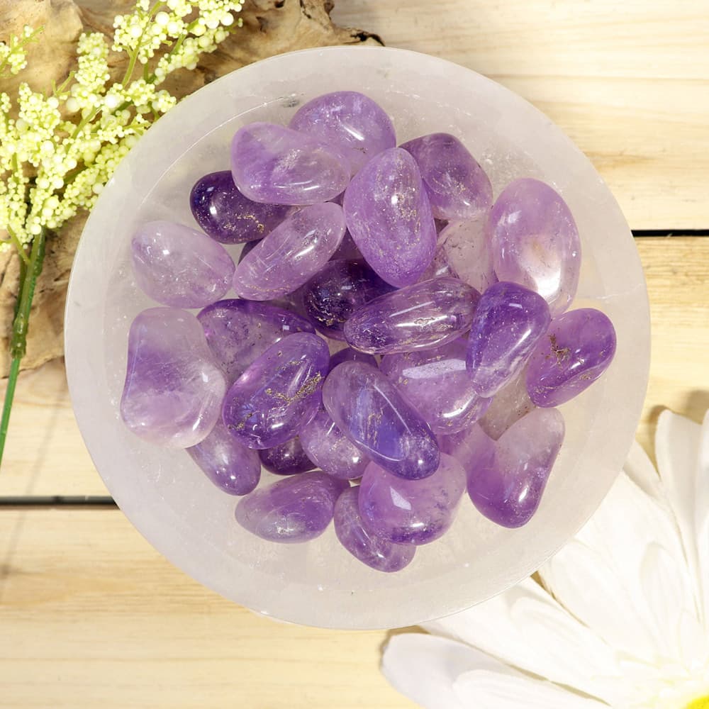 Amethyst Tumbled Stones (1 lb)