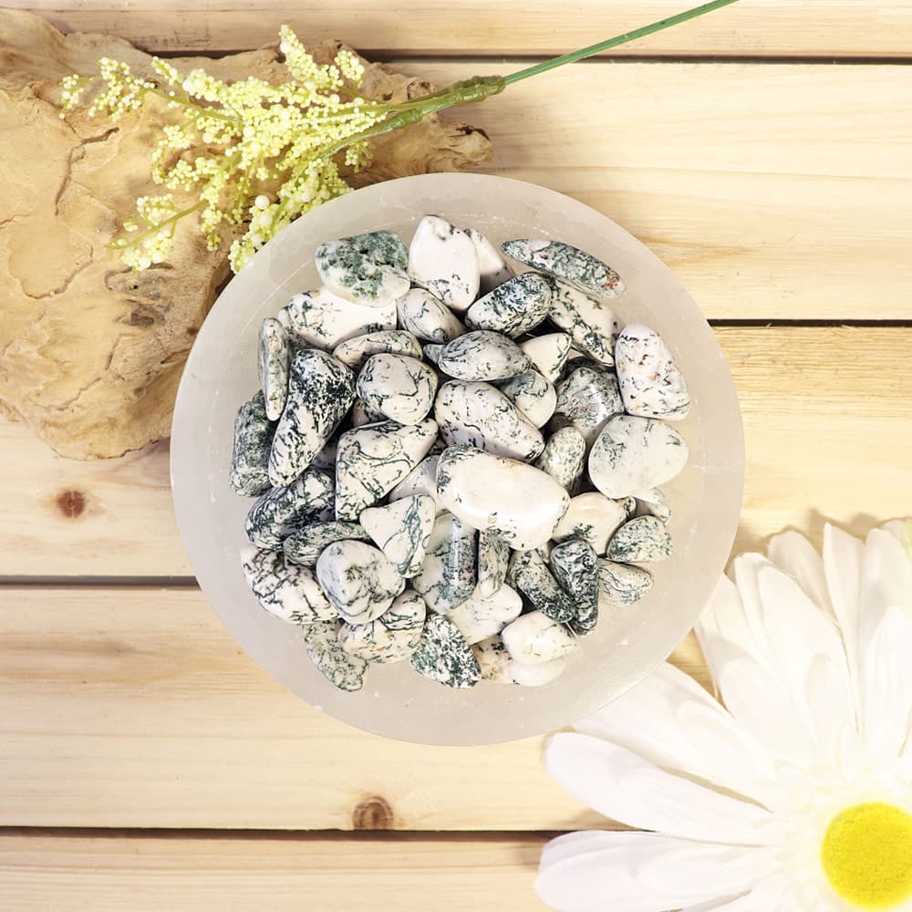 Agate Tree Tumbled Stones (1 lb)