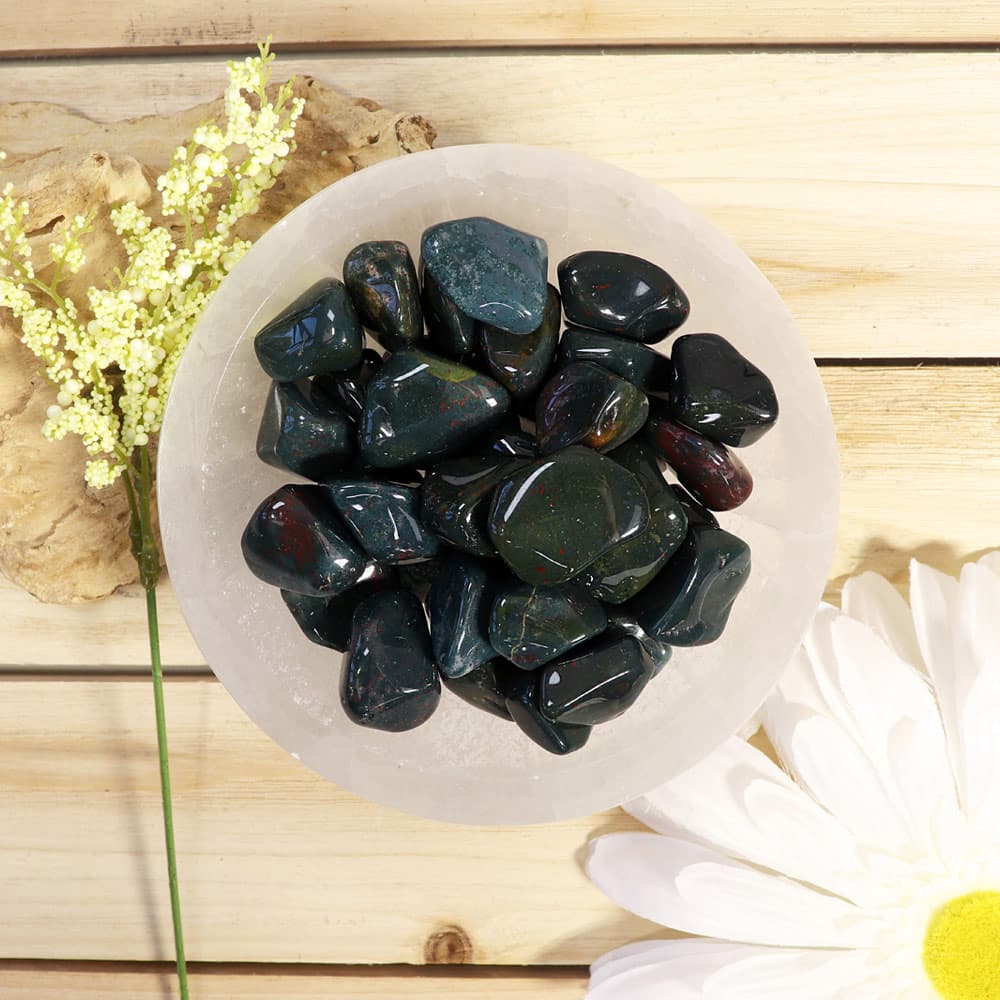 Blood Stone Tumbled Stones (1 lb)