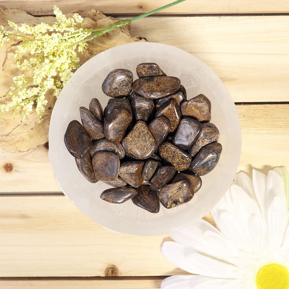 Bronzite Tumbled Stones (1 lb)