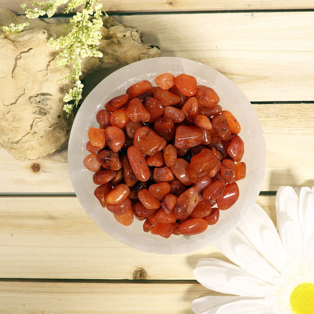 Carnelian Tumbled Stones (1 lb)
