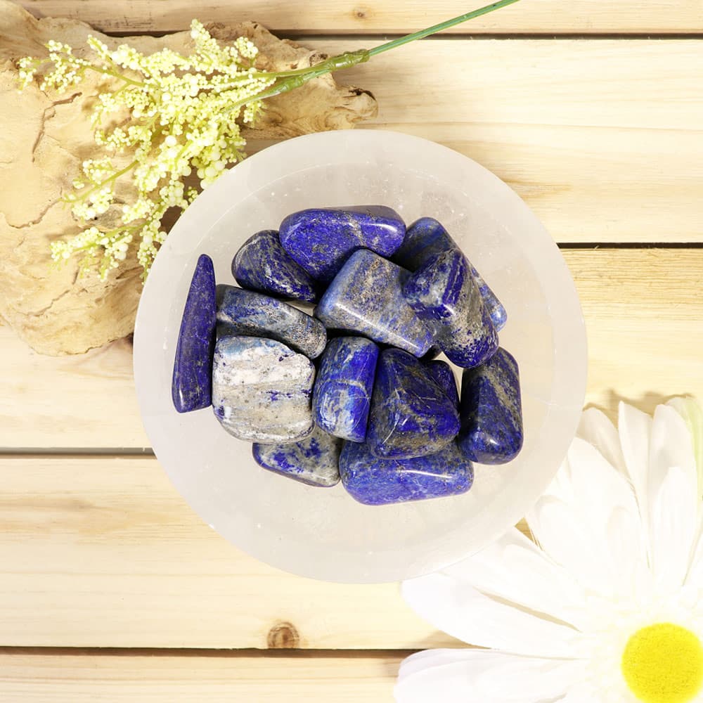 Lapis Lazuli Tumbled Stones B (1 lb)