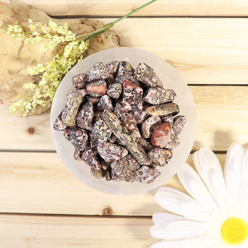 Leopard Skin Tumbled Stones (1 lb)