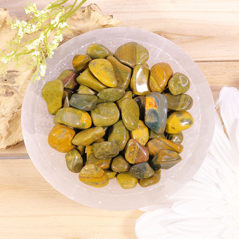 Ocean Jasper Tumbled Stones (1 lb)