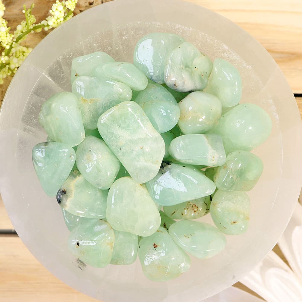 Prehnite Tumbled Stones (1 lb)