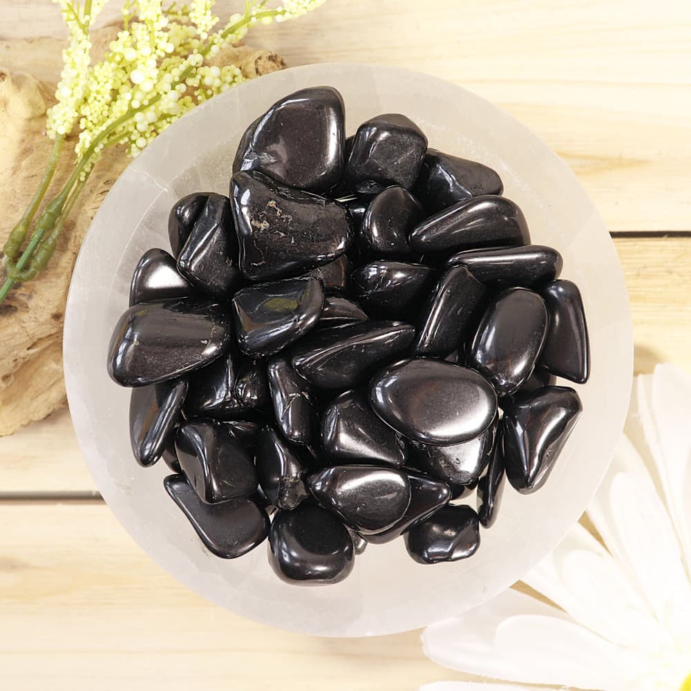 Shungite Tumbled Stones (1 lb)