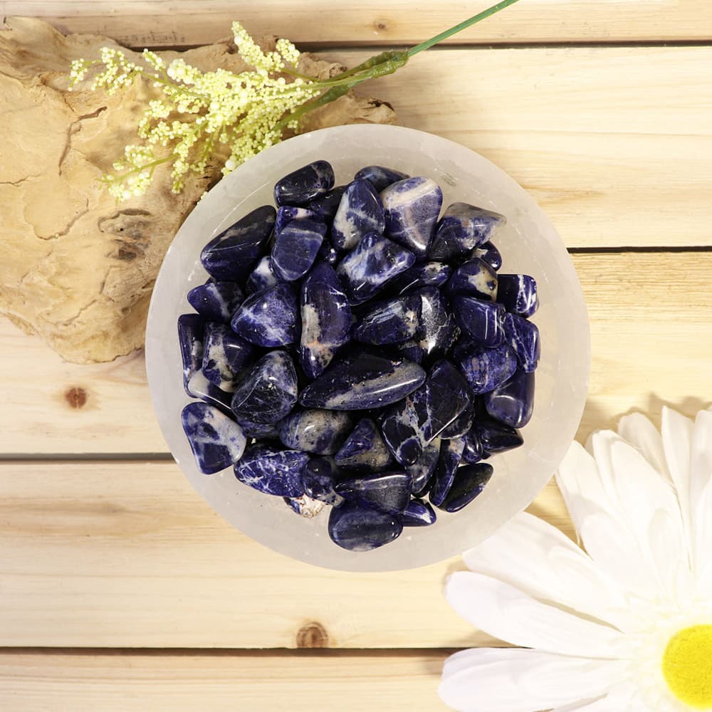 Sodalite Tumbled Stones (1 lb)