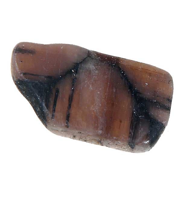 Chiastolite Tumbled Stones (1 lb)