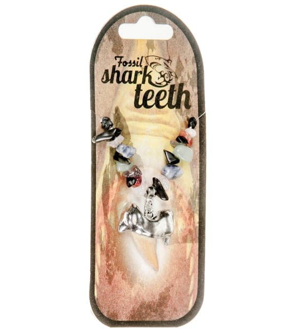 Silver Plated Shark Teeth Pendant [Set of 6]