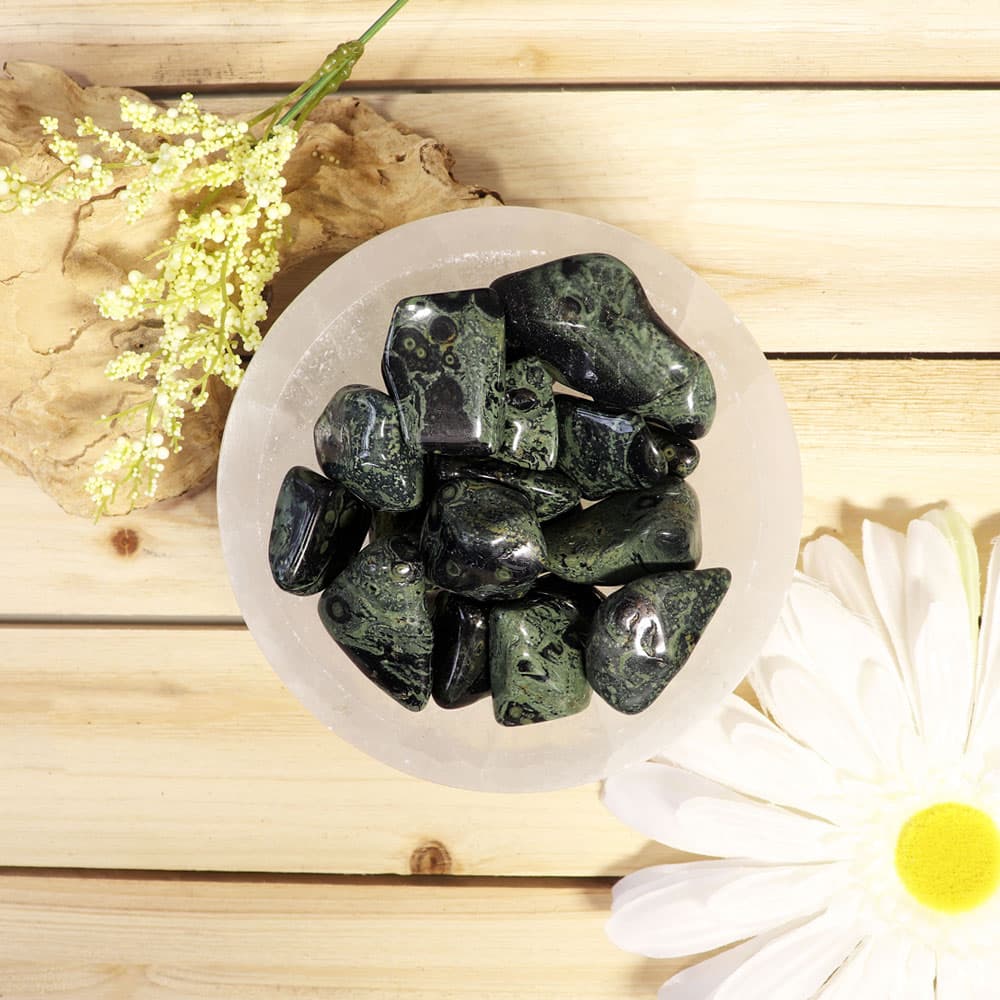 Kambaba Jasper L Tumbled Stones (1 lb)