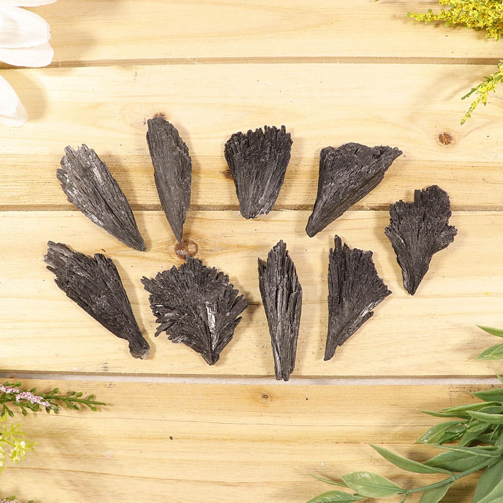 Black Kyanite Blades [Sold/lb]