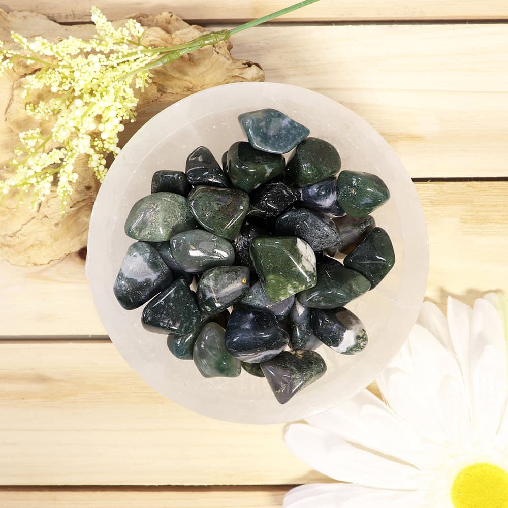 Green Moss Agate Tumbled Stones (1 lb)