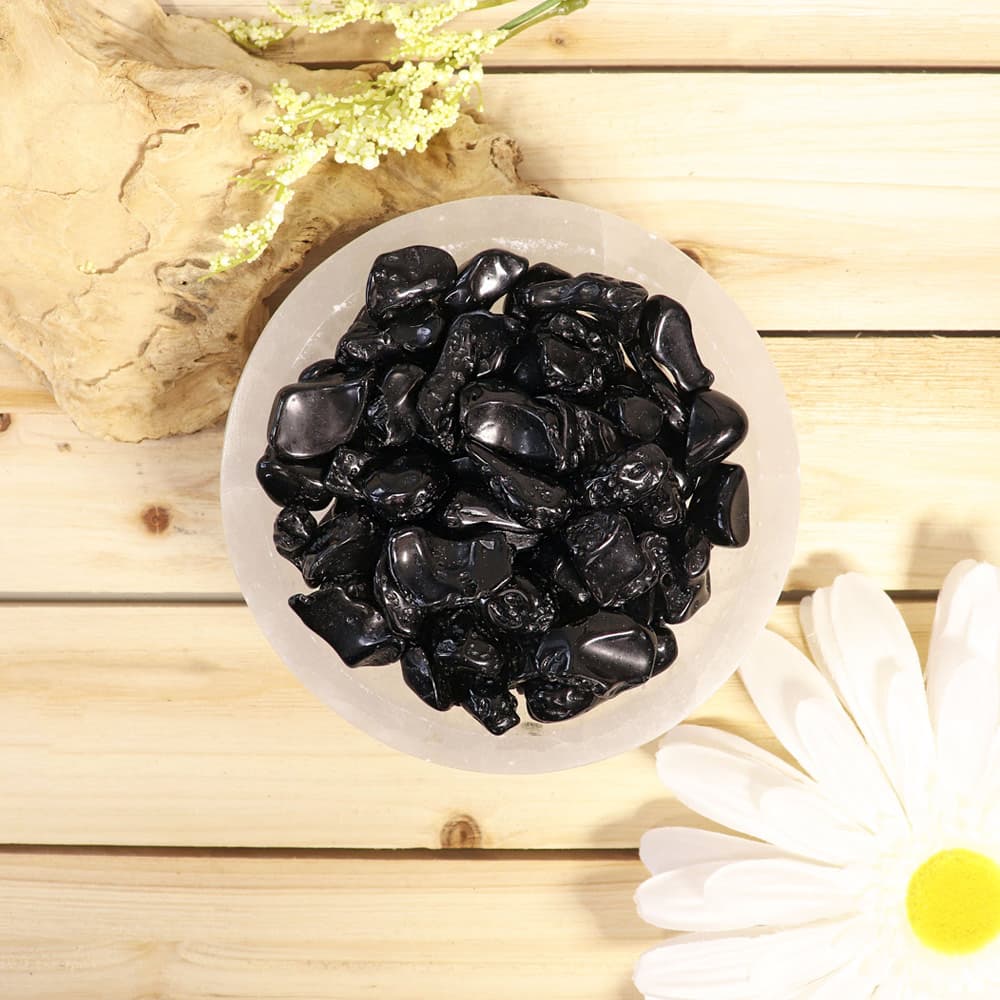 Tektite Tumbled Stones (1 lb)
