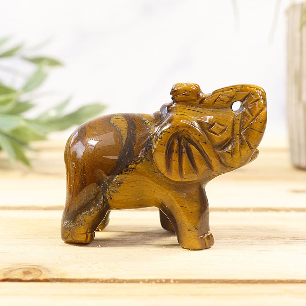 Tiger Eye