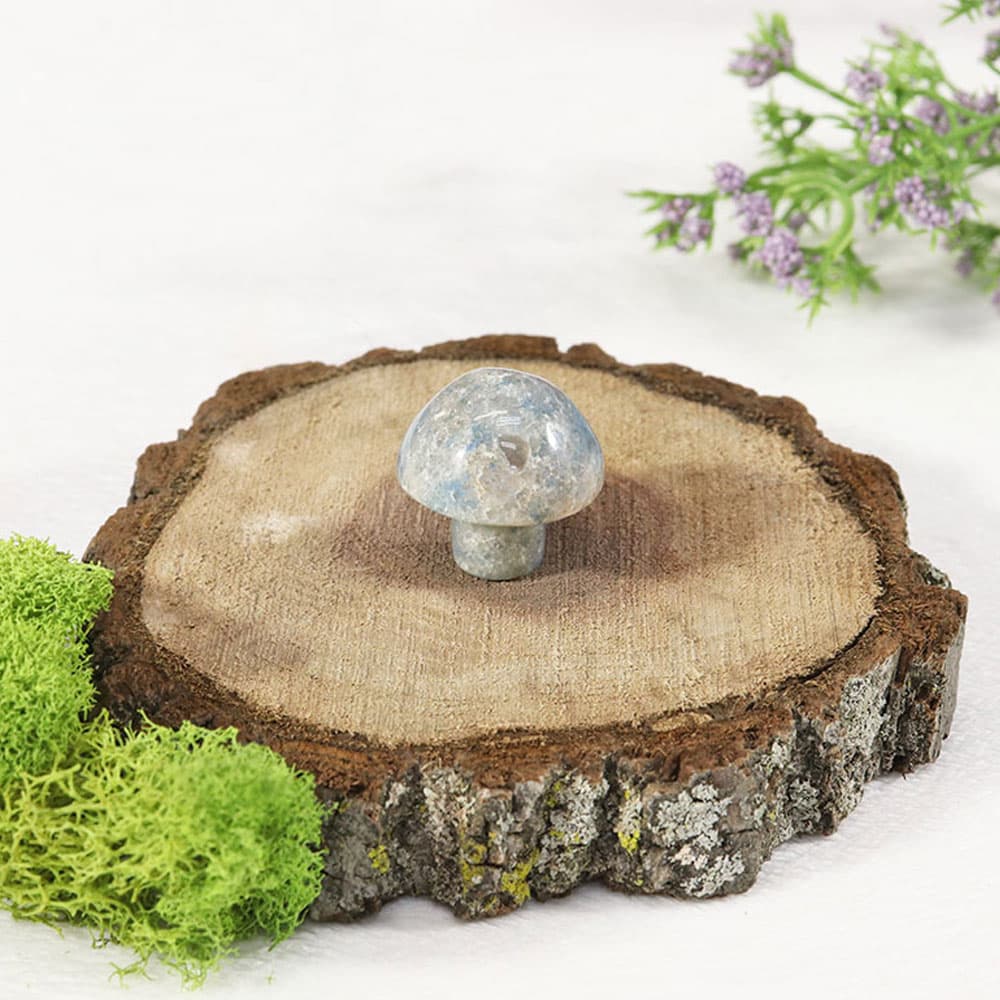 Trolleite Mushroom