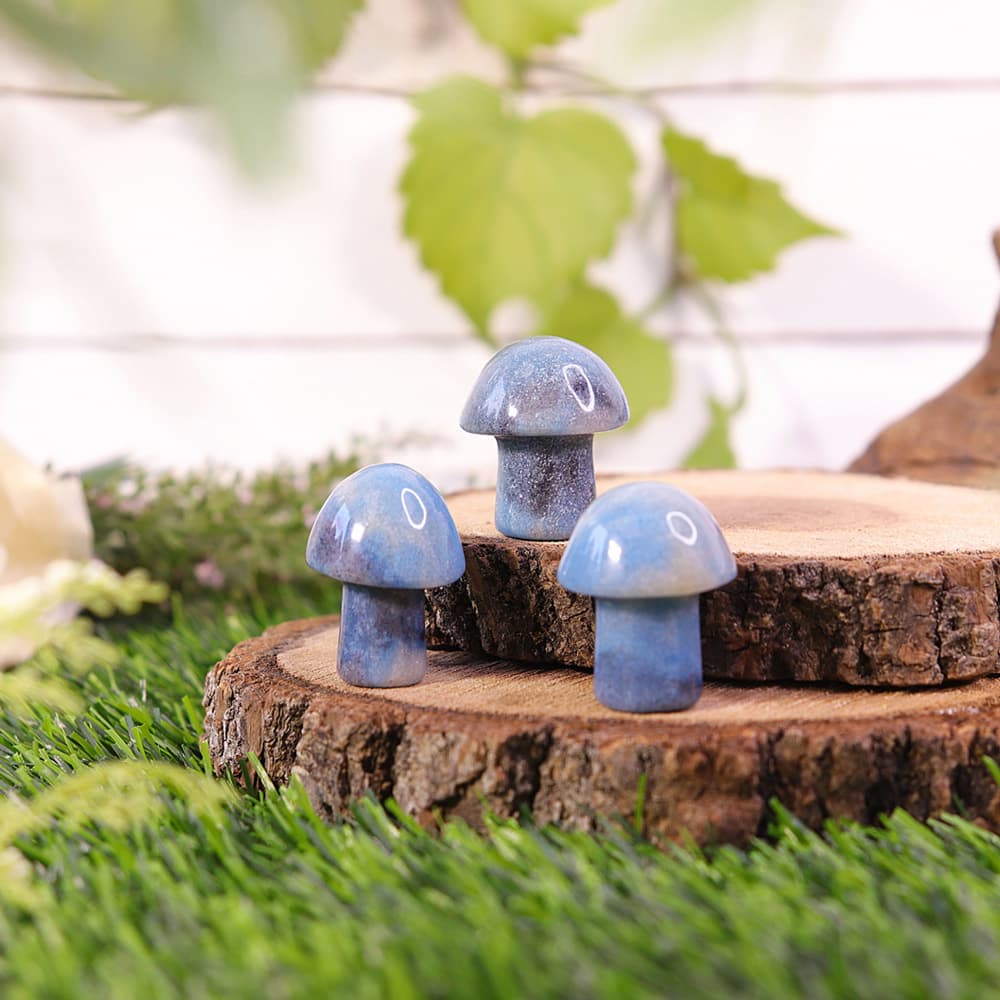 Mushroom