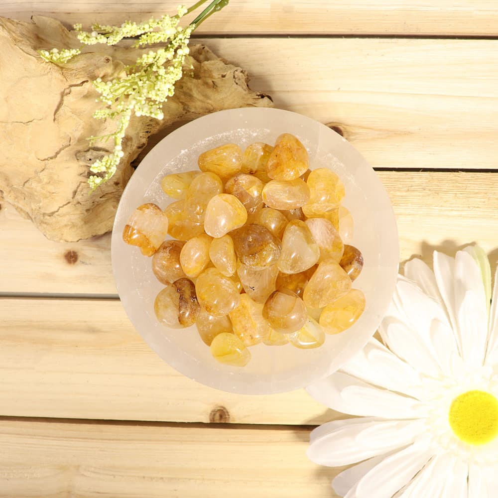 Golden Healer Tumbled Stones (1 lb)