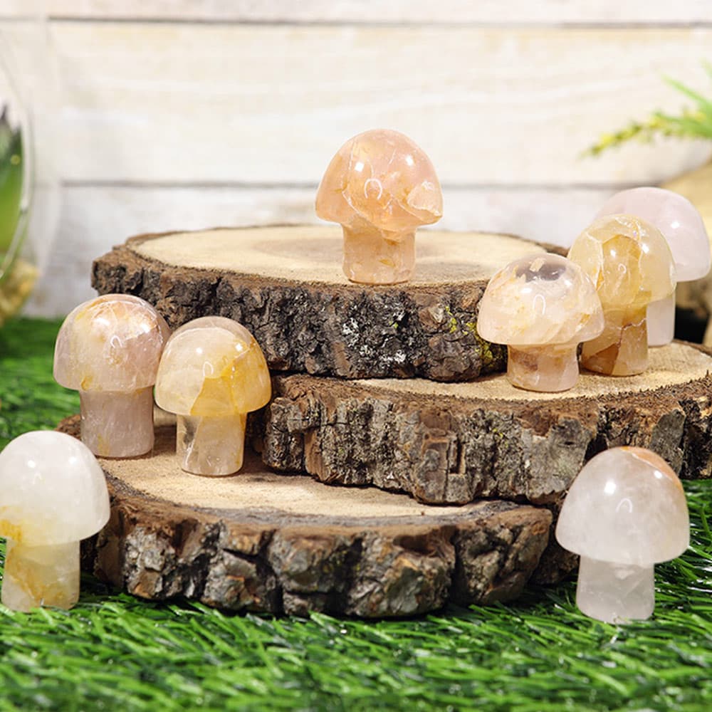 Golden Healer Mushroom