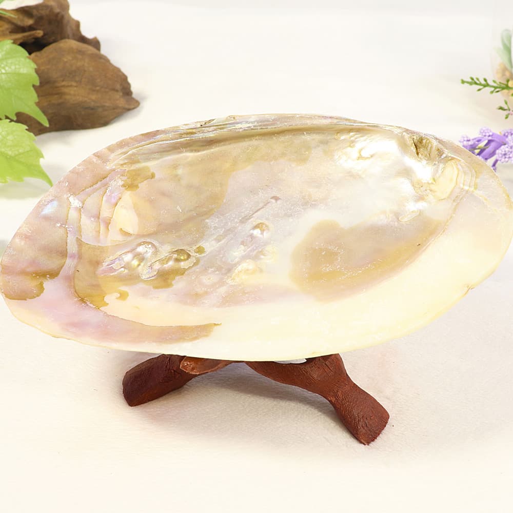 Pearl Shell