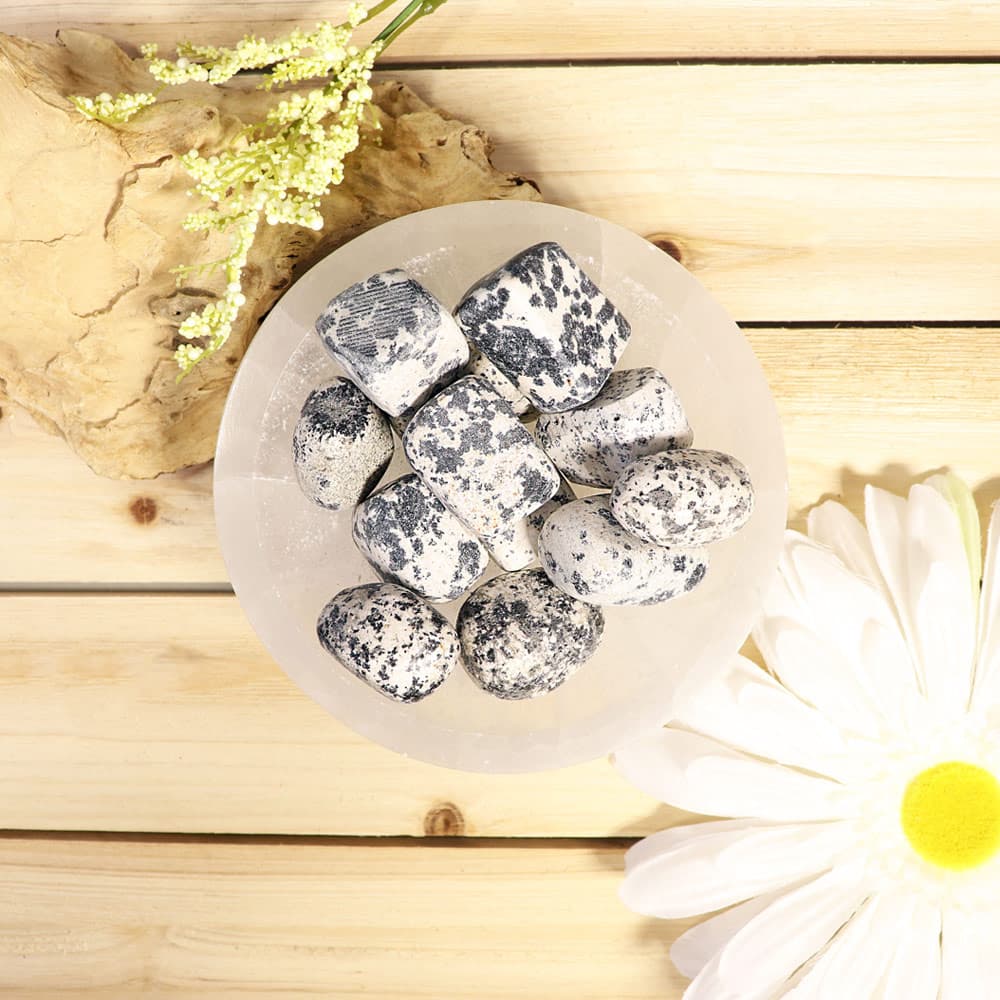 Dalmation Tumbled Stones (1 lb)