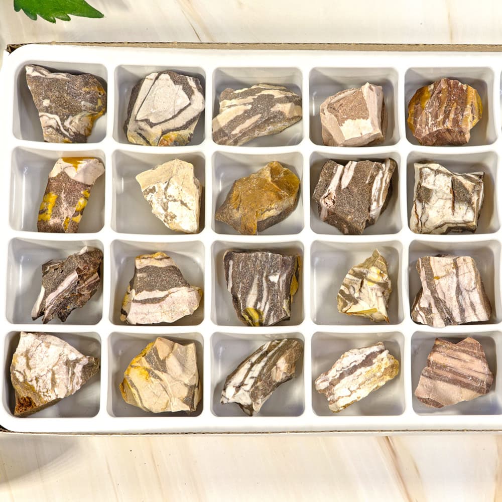 Zebra Jasper Flat