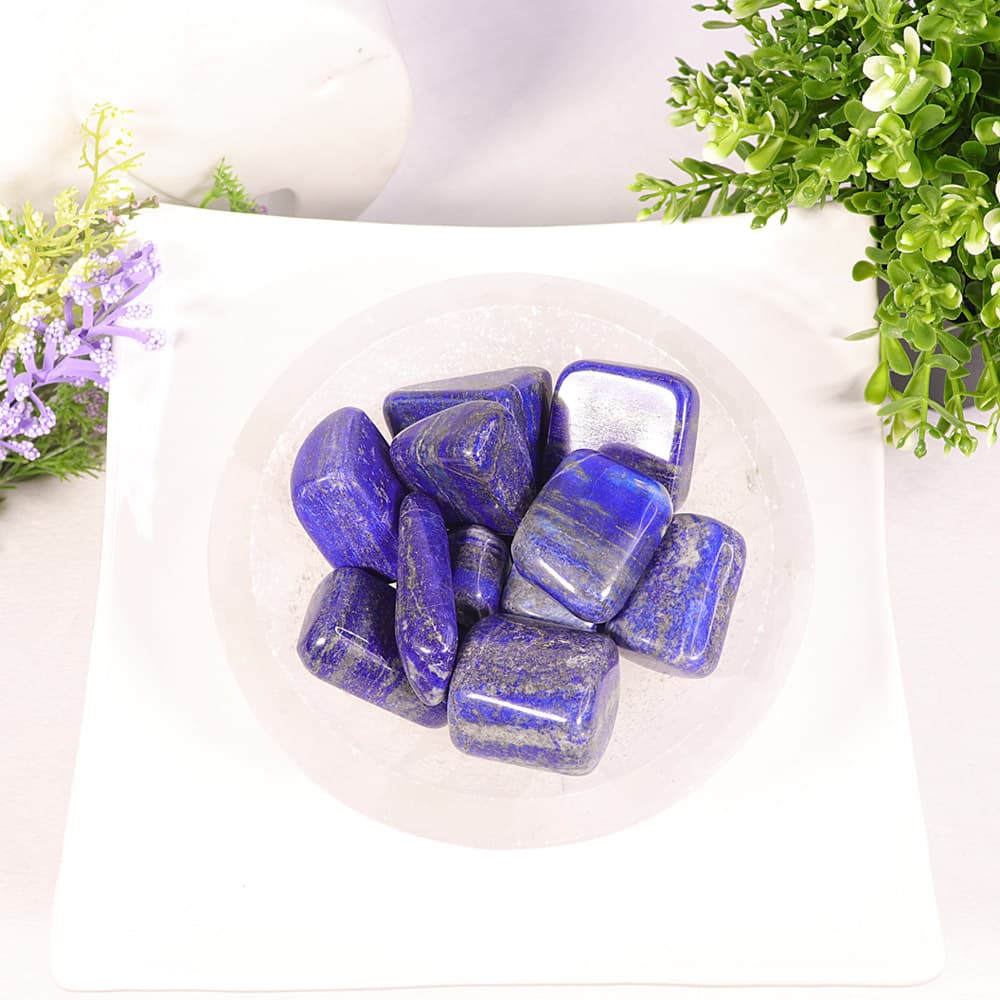 Lapis Lazuli Tumbled Stones B (1 lb)