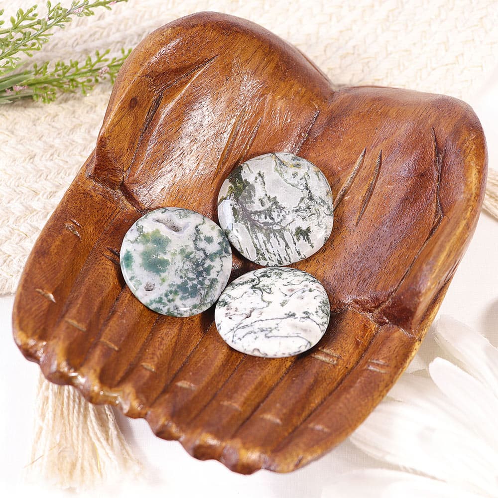 Tree Agate Palm Stone
