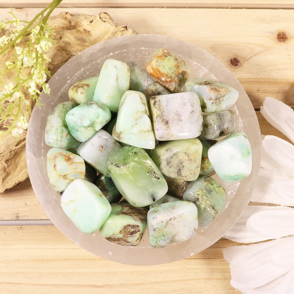 Chrysoprase Tumbled Stones B (1 lb)