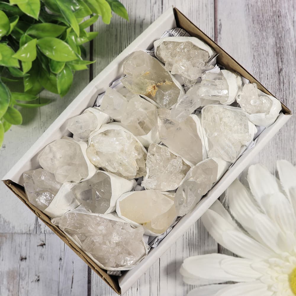Clear Quartz  Clusters in a Flat (Small)