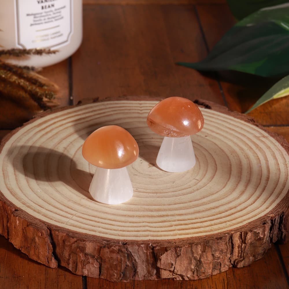 Selenite Mushroom with Orange Top