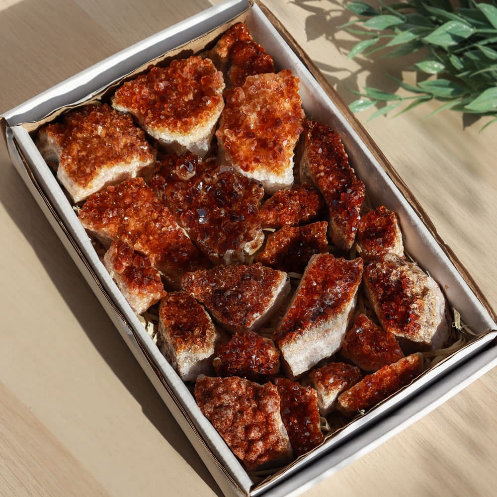 Citrine Clusters Flat